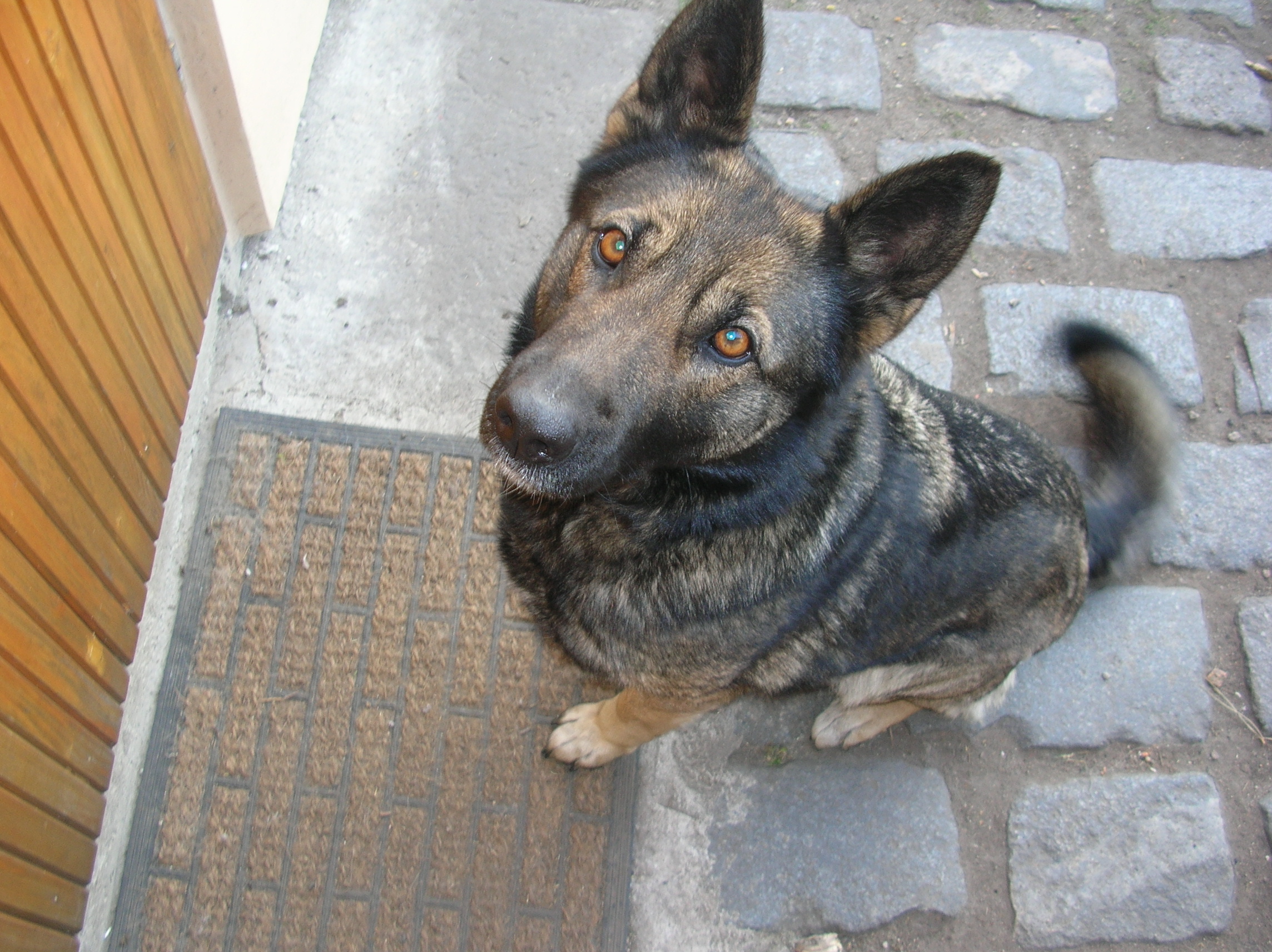 DSCN3988.JPG