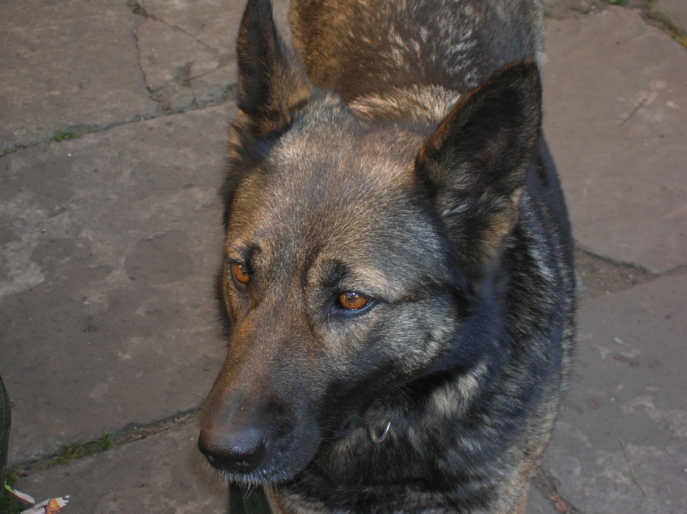 DSCN3989.JPG